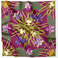 Orchidea Silk Scarf
